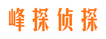 三台侦探公司